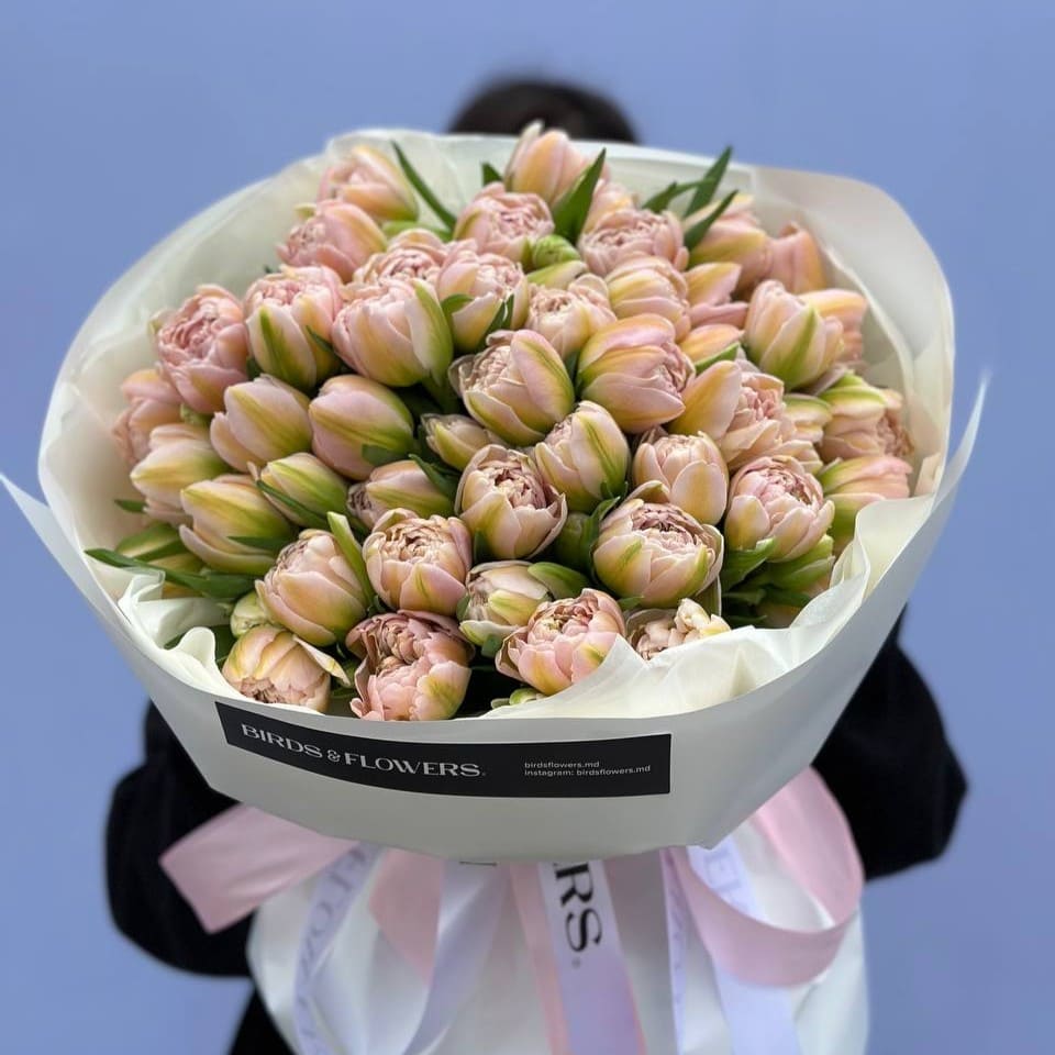 Букет Blush whisper - 51 peony tulip