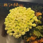 151 роза Mondial 90 см