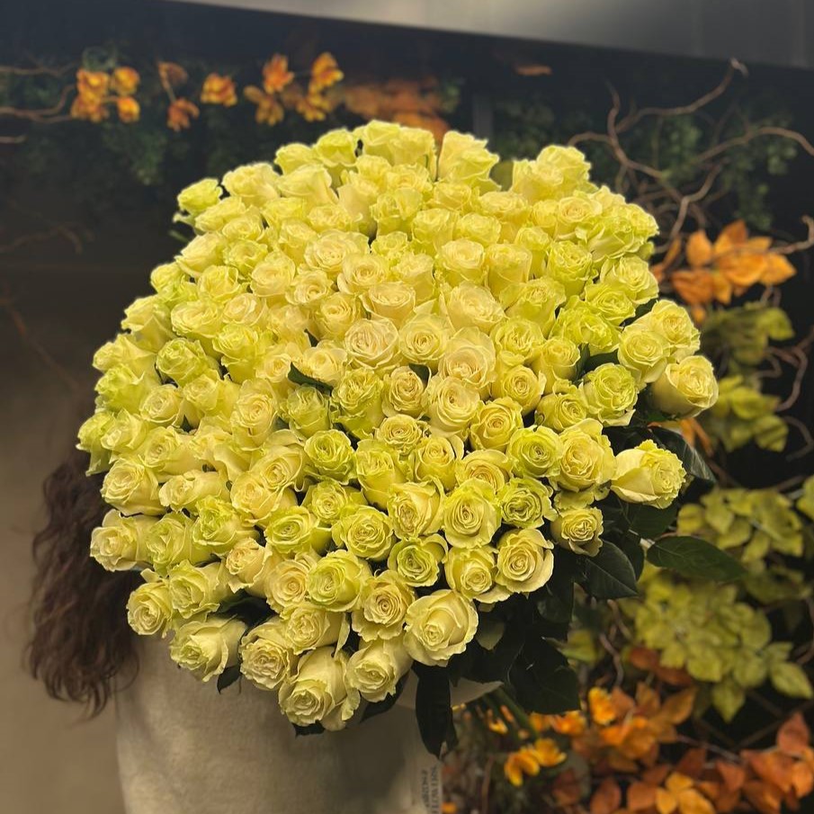 151 роза Mondial 90 см